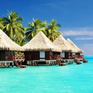 Meet your Posher, Rachelle